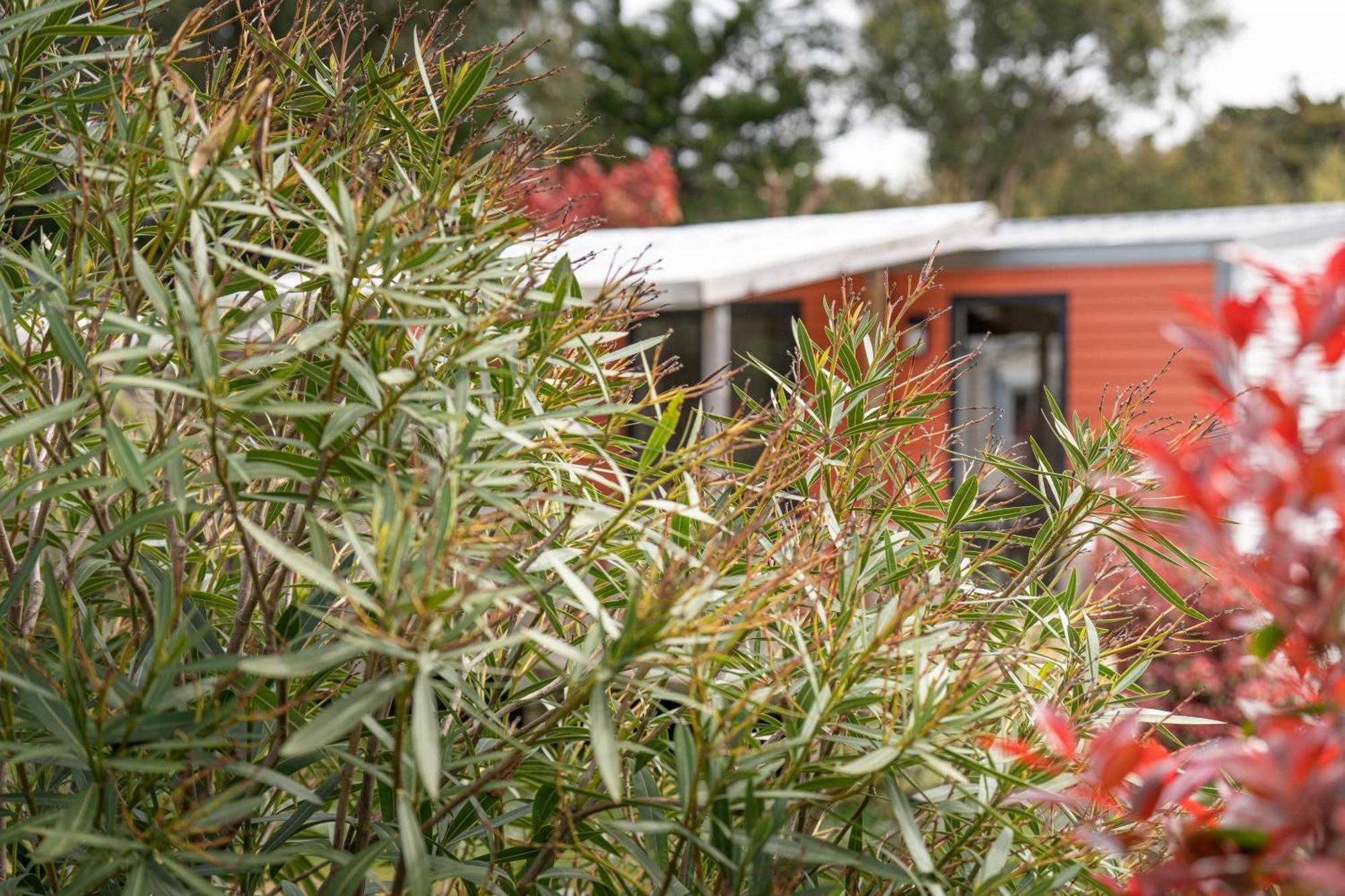 Camping Antioche D'Oleron La Brée-les-Bains Exteriör bild